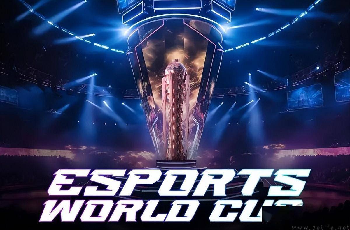 合同金额 合同金额