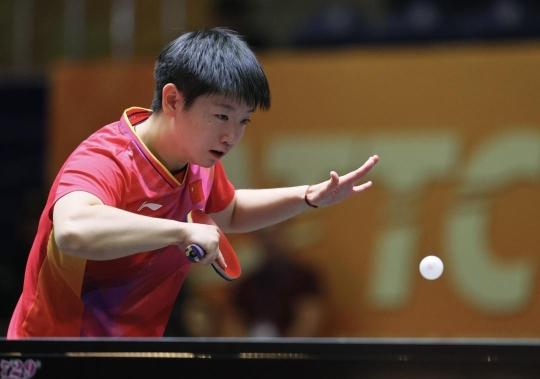 的标题与要 的标题与要