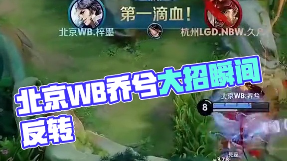 马的体系中 马的体系中