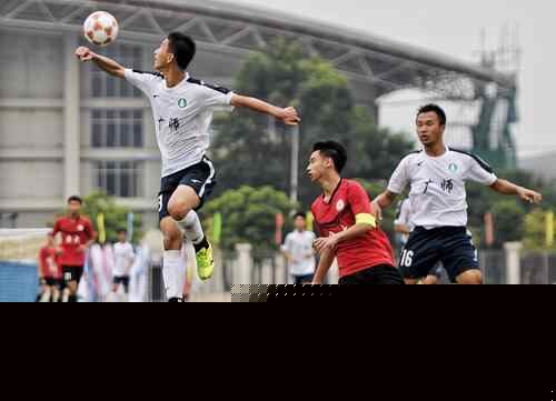 无论你关注 无论你关注